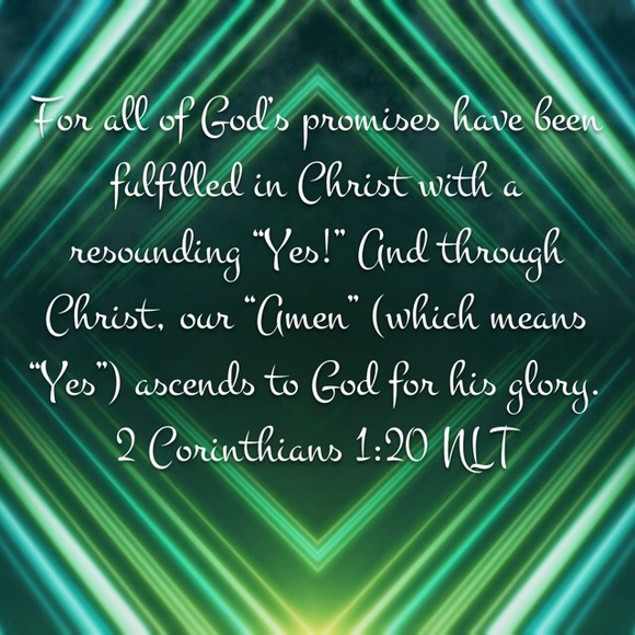 Meet your Posher, Amber - Picture 1 of 1